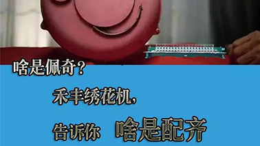 啥叫佩奇，禾丰帮你配齐