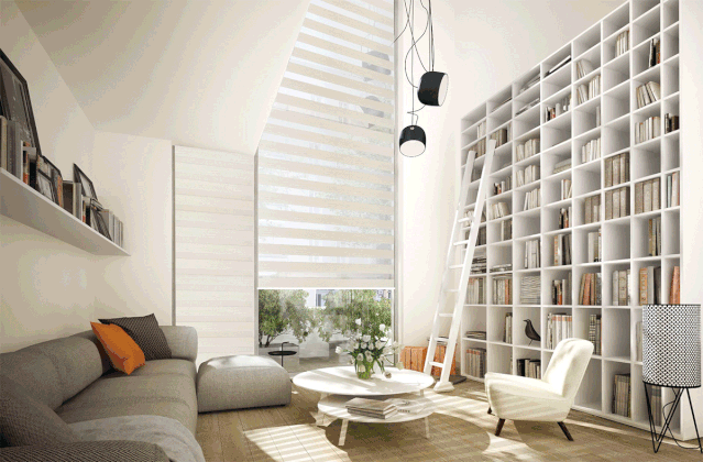 亚洲精品久久国产高清情趣